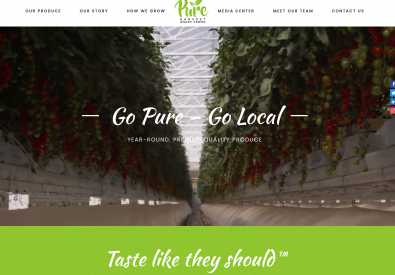 Pure Harvest Farm