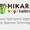 Hikari Vegetable