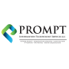 Prompt Information T...