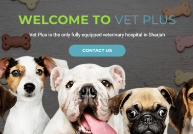 Vet Plus