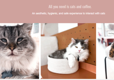 Cat Cafe Vibrissae