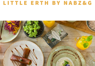 Little Erth by Nabz&...