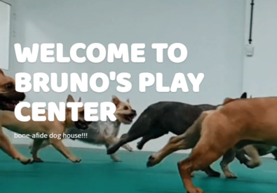 Bruno’s Play Center