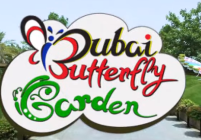 Dubai Butterfly Garden