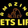 Amazing Pets Life