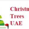 Christmas Trees UAE