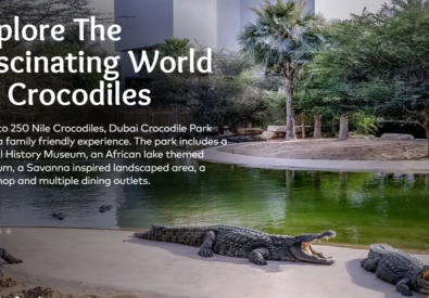 Dubai Crocodile Park